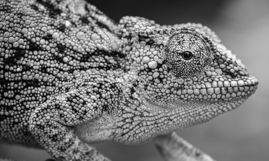 Leading in a VUCA World: Where Change is Constant and Unpredictability is the Norm Leading in a VUCA World: Where Change is Constant and Unpredictability is the Norm